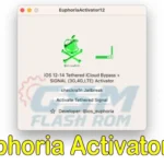 Euphoria Activator12: The Best Free iCloud Bypass Tool for iPhone in 2023