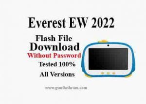 Everest EW 2022 Firmware File Download