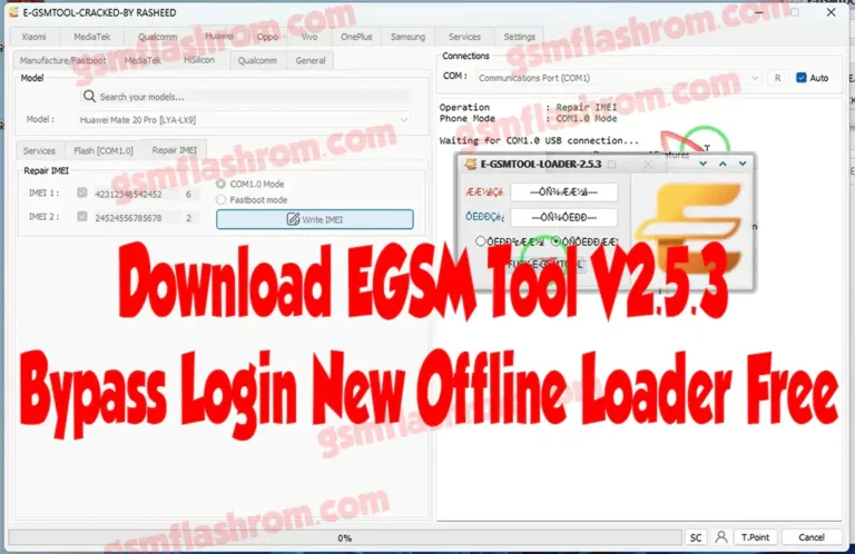 Download EGSM Tool V2.5.3 Bypass Login New Offline Loader Free