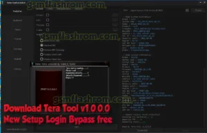 Download Tera Tool v1.0.0.0 New Setup Login Bypass free
